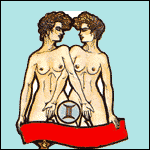 Zodiac erotic, zodia gemeni, compatibilitatea gemenilor cu alte zodii, zone erogene ale gemenilor
