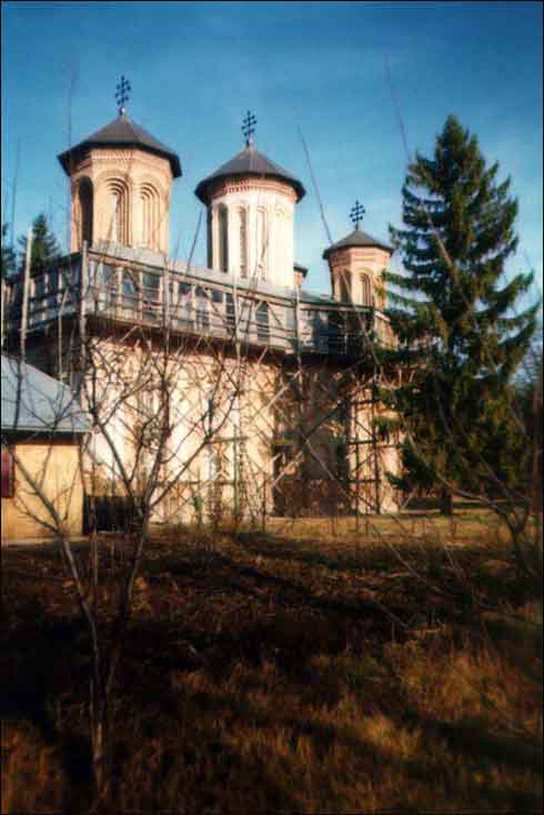 Poza cu Biserica Snagov, imagini cu monumente