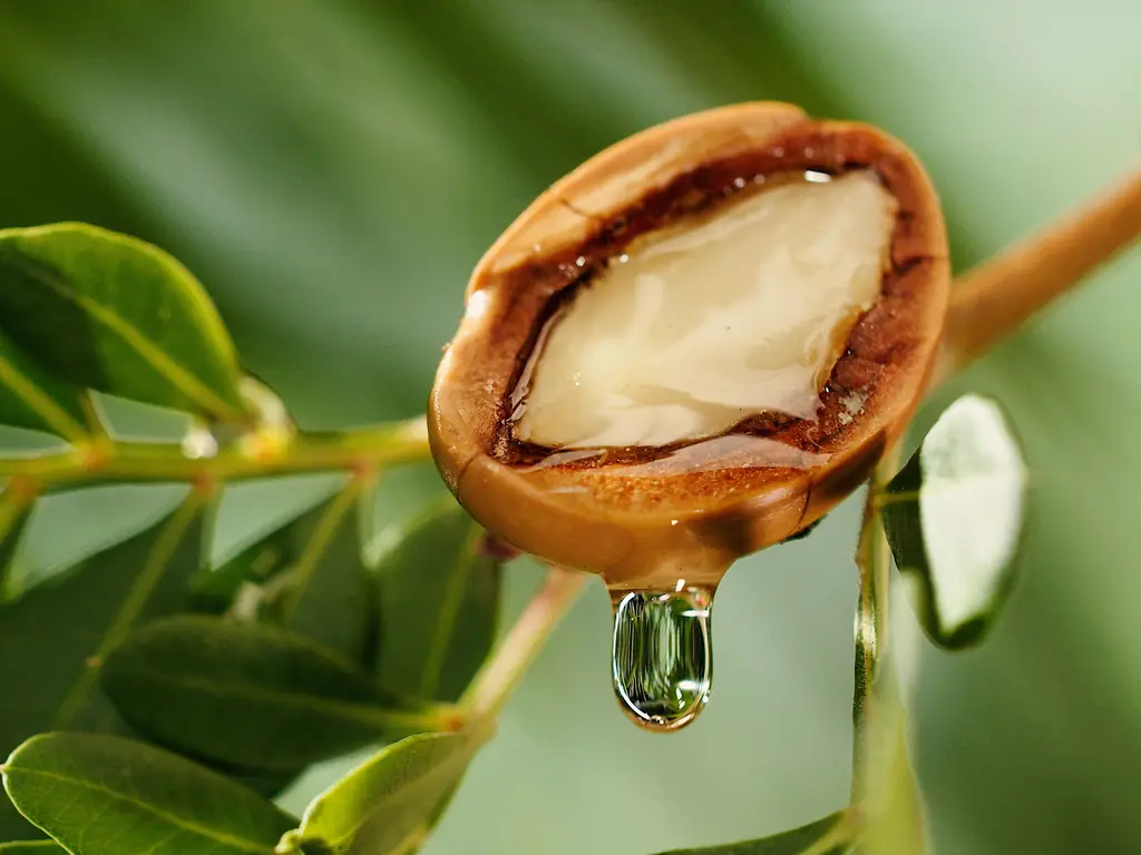 Cosmeticele naturale de-a lungul timpului