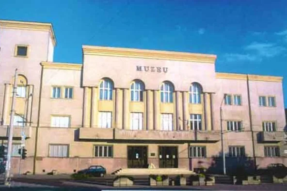 Muzee din judetul Satu Mare