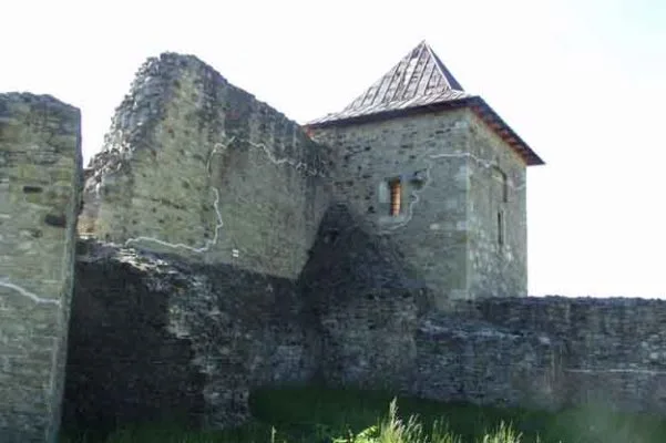 Muzee din judetul Suceava