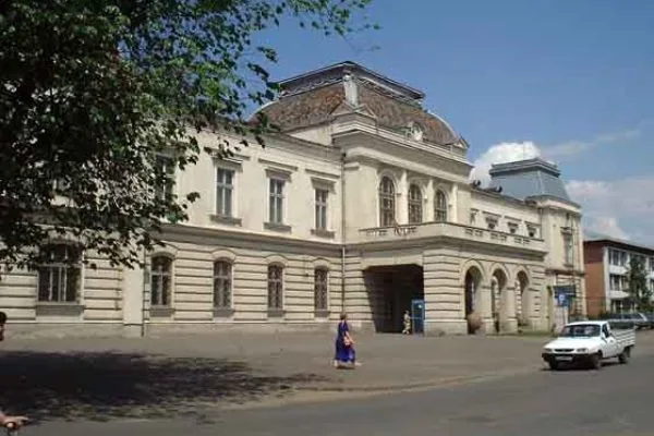 Muzee din judetul Vaslui