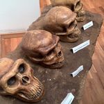 Muzeul Evolutiei Omului si Tehnologiei in Paleolitic