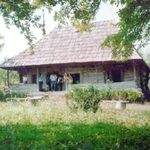 Casa-Muzeu Constantin Brancusi