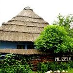 Muzeul satului - Acasa