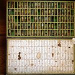 Muzeul de Istoria Farmaciei