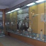 Muzeul National al Bucovinei